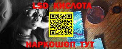 шишки Можга