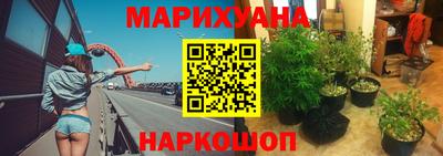 шишки Можга