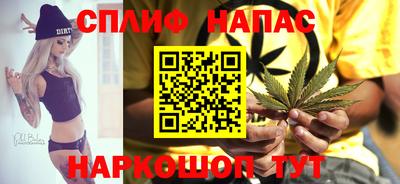ALPHA PVP Моздок