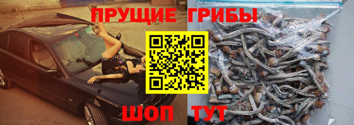 Сибай  Галлюциногенные грибы мицелий  Вход с VPN 